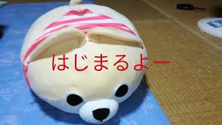 オープニング作ってみました♪