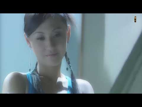 Nỗi đau vô thường - Lâm Hùng