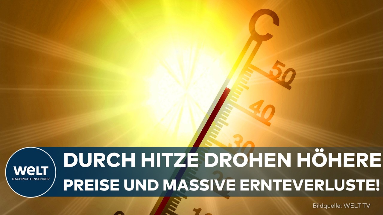 TEURER SOMMER: Hitze macht alles teurer! Spritpreise und Lebensmittel vor dem nächsten Schock!