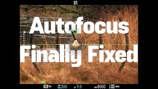 [閒聊] Fujifilm 韌體更新 GFX100 II / X-H2(S)