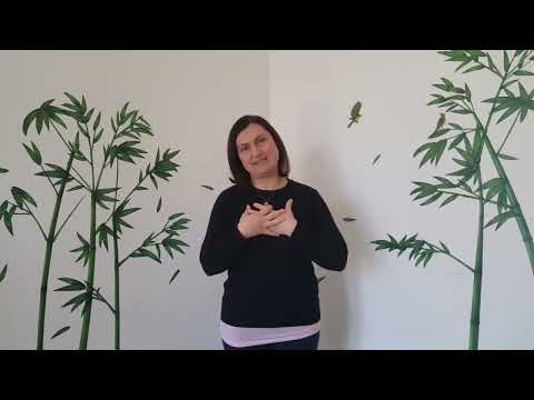 Il risveglio della tigre