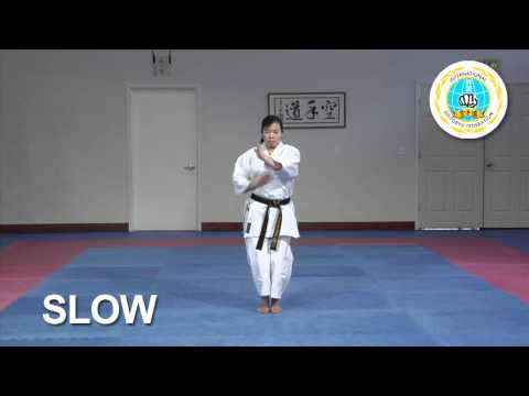 Niseishi - International Hayashi-Ha Shito-Ryu