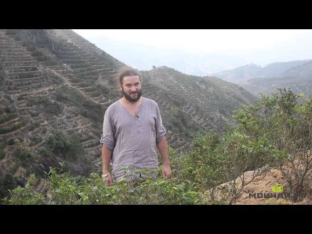 Чаочжоу. Путешествие в горы Фэнхуан, Часть 2