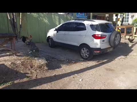 Barbados records another homicide