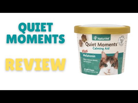 Quiet Moments Calming Cat Aid Plus Melatonin: Calms My Crazy Cat