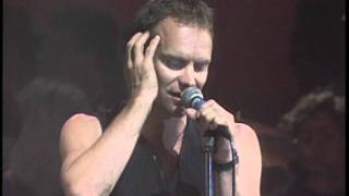 Sting feat. Zucchero - Muoio Per Te  live HD