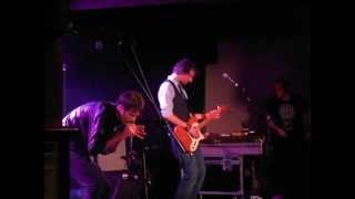 Brett Anderson - The Swans