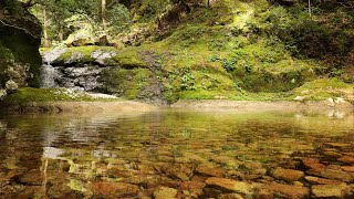 【自然の音】滝壺の揺らめき / Nature Sounds - The Rippling of a Waterfall Basin