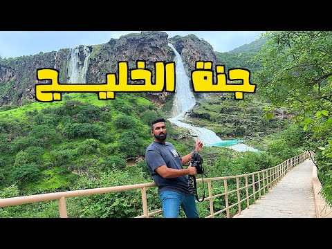 الفيديو