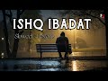 Ishq Ibadat - Slowed Reverb & Lofi | Birender Dhillon | Shamsher Lehri | #punjabi #lofi
