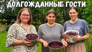 MOM has arrived | Harvesting crops | Making Vareniki | Precious time with family