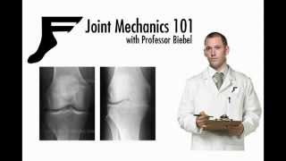 Brandon Biebel teaches Joint Mechanics