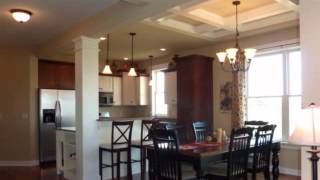 preview picture of video 'Beautifully Designed Craftsman Style Rambler'
