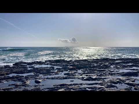 Colonia de Sant Jordi 2026 01 21