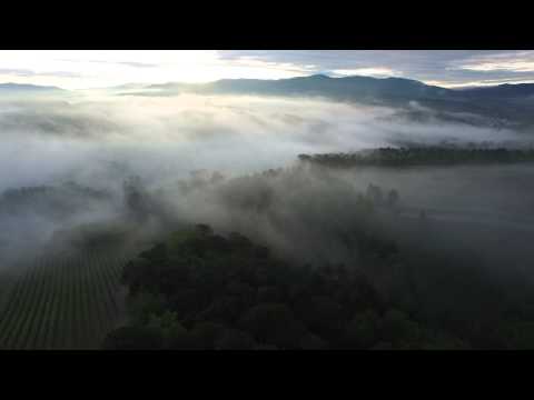 Tuscany Tenuta Branca