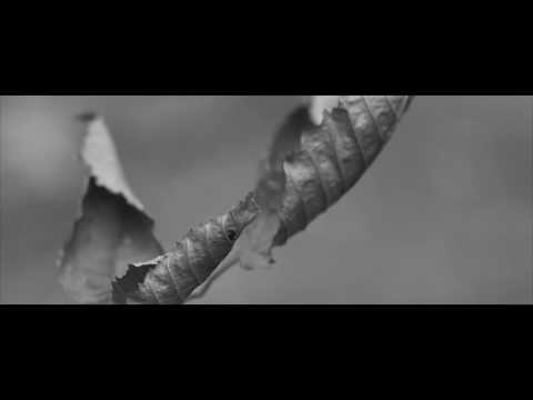 AK, Sublab & Tim Schaufert - Give You Up (feat. CASHFORGOLD)