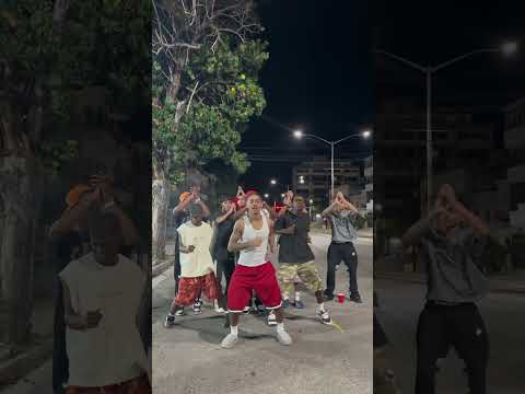 El Venao🦌 #reggaeton #musica #music