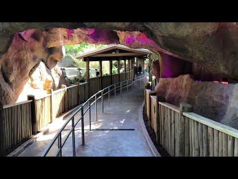 All New Tigris Queue Line at Busch Gardens Tampa Bay Florida