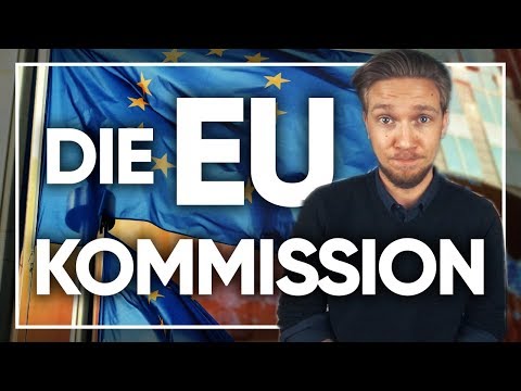 Europawahl 2019 ! Wie funktioniert die EU - Kommission? | Aufgaben EU Organe, EU Wahlen