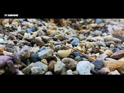 Pantai Atapro - Batumerah Damer