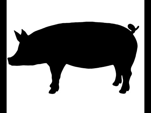 First Impressions: Bacon Old Fashioned