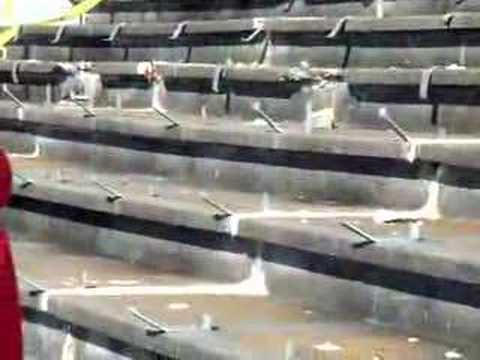 706 All-Stars Band VIII