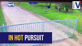 WATCH: Dramatic chase for suspects in Hannah Cornelius murder, hijacking