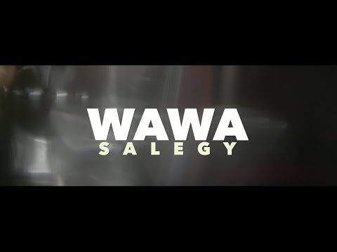 Wawa Salegy Ft. Serge Beynaud - Fusion - clip officiel