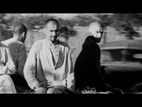 Investigating the Holocaust Part 8: Total War - The Breadth of Nazi Cruelty