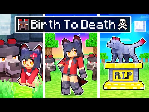 BIRTH To DEATH of the ULTIMA In Minecraft!