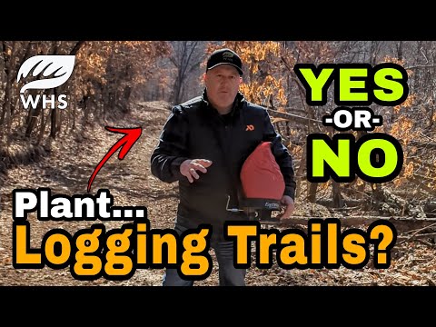 How To Plant Logging Trails - Or NOT