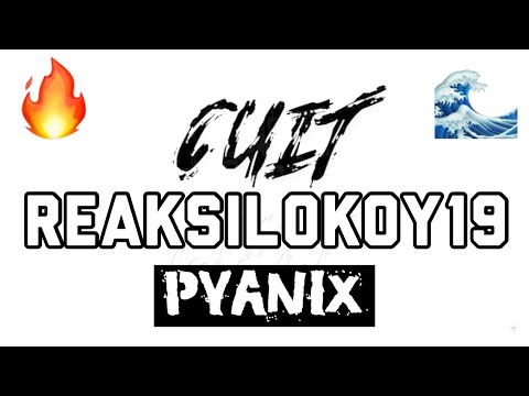 REAKSILOKOY19 - Cuit [PYANIX]