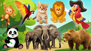 CUTE LITTLE ANIMALS ❤️| Cat, Dog, Chicken, Cow, Elephant, Horse - Animal Sounds | Funny Animals