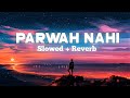 Parwah nahi ( slowed+reverb ) 💛 | Motivational song