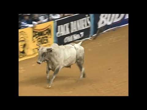 Nitro bucks Rodney Lidgard - 98 PBR Richmond