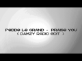 Fedde Le Grand Praise You (DamzYmix) radio ...