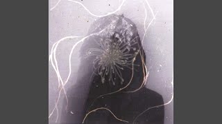 æµ©øøåπå