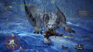 【MHW:IB】(初期位置)初見ベリオロス(上位装備のままです)【モンスターハンター/アイスボーン】