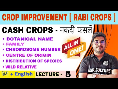 Crop Improvement rabi crops syllabus analysis bsc av 6th semester
