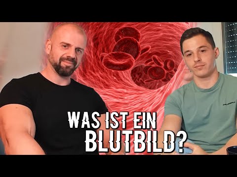 Blutbild - Wie liest man es und was sagt es aus? | Blutexperte erklärt | Dr. Malte Puchert