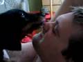 Licking Steve S Brain