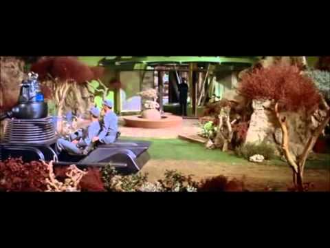 Cuba de Zoo -  Aqua di Vita