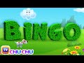 BINGO Dog Song - Nursery Rhyme With Lyrics - Cartoon Animation Rhymes & Songs for Children