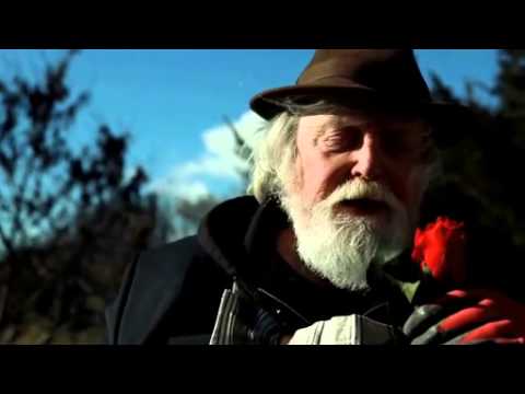 Love love love Bande annonce