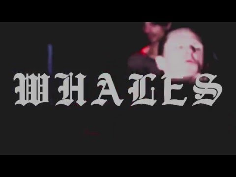 Rael Daemon - THESE NEW SOUTH WHALES [Official]