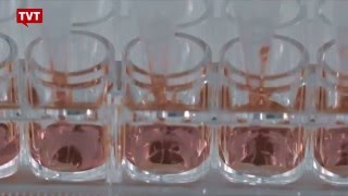Miniatura do vídeo