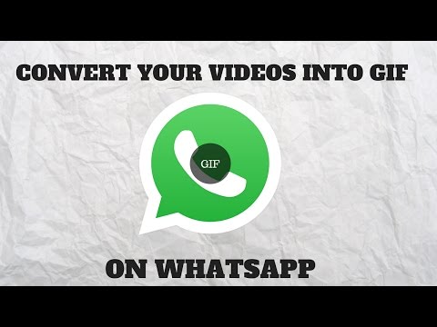 Download Video Gif Whatsapp Mp3 dan Mp4 Tanpa Ribet Gratis