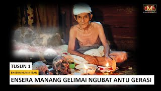 Download lagu ENSERA MANANG GELIMAI NGUBAT ANTU GERASI -PART 1 mp3