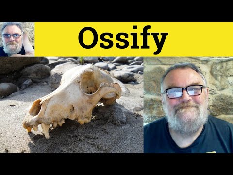 😎 Ossify Meaning - Ossification Defined - Ossify Definition - Ossification Examples - Ossify