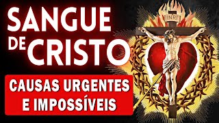 Oração ao Sangue de Cristo para um milagre hoje mesmo – Ore Comigo!